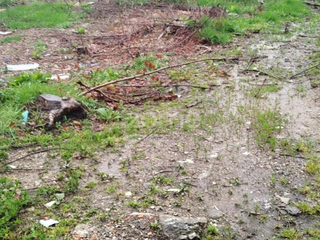 Terreno venda em Mourilhe, Viseu