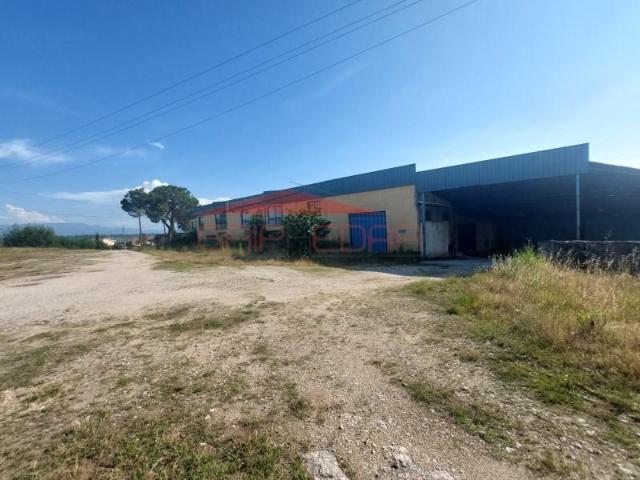 Casa venda em Mourilhe, Viseu