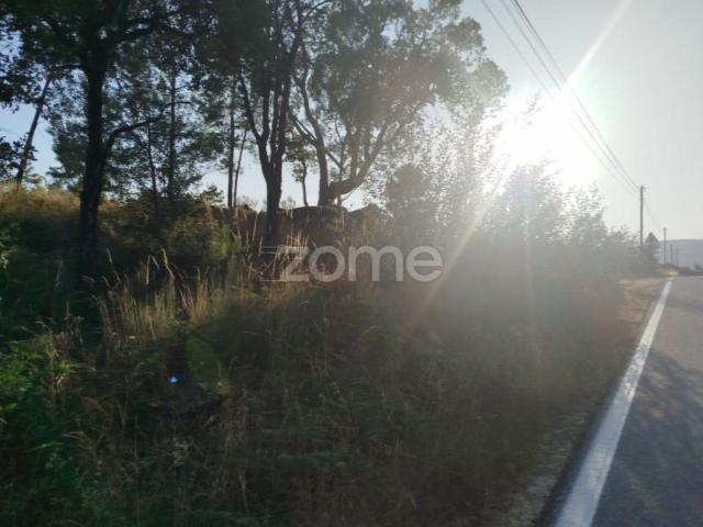 Terreno venda em Mourilhe, Viseu