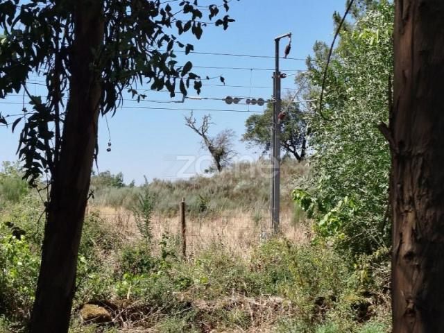Terreno venda em Mourilhe, Viseu