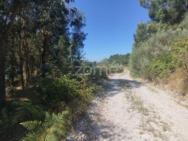 Terreno venda em Mourilhe, Viseu