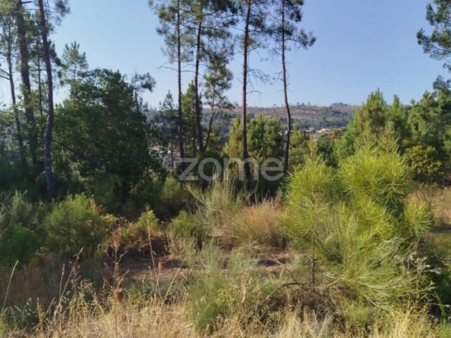 Terreno venda em Mourilhe, Viseu