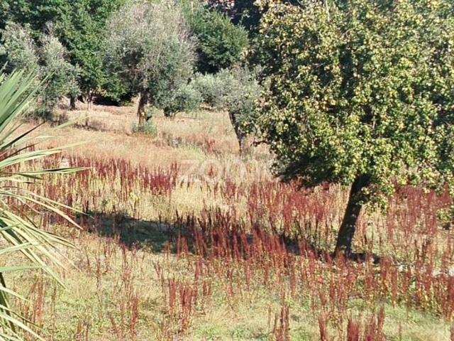 Terreno venda em Mourilhe, Viseu