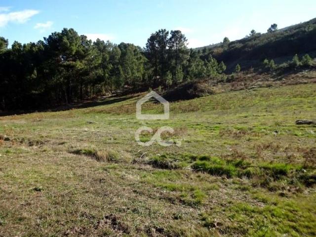 Terreno venda em Mourilhe, Viseu