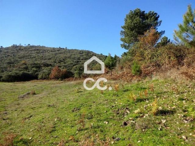Terreno venda em Mangualde, Viseu