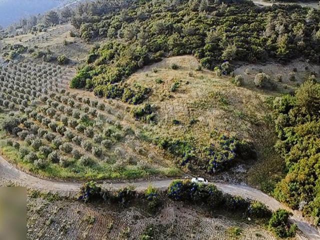 Durasıl, Akhisar içerisinde satılık Arsa