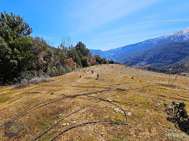 Alaşehir, Manisa içerisinde satılık Arsa