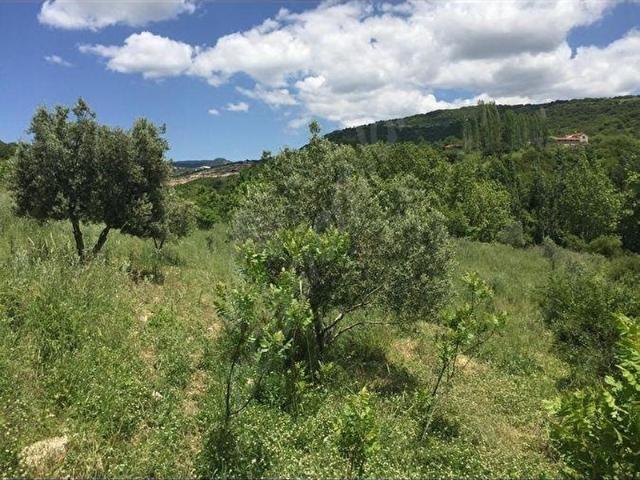 Demirci, Manisa içerisinde satılık Arsa