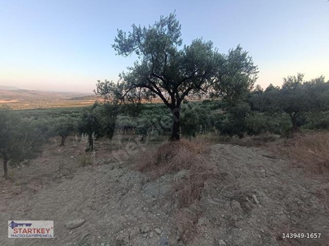 Gebeler, Kırkağaç içerisinde satılık mülk