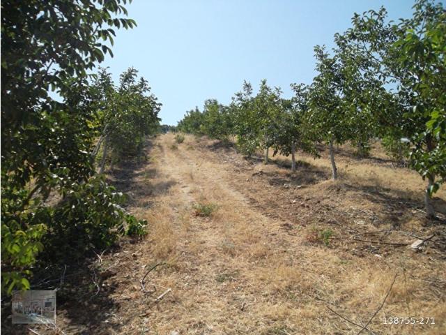 Gördes, Manisa içerisinde satılık mülk