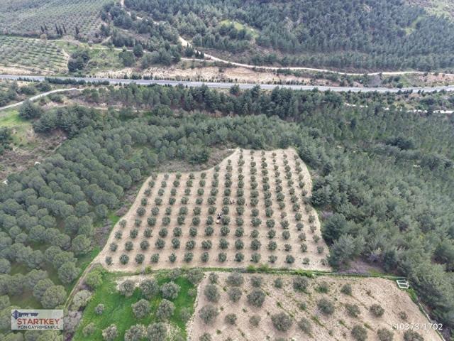 Siledik, Kırkağaç içerisinde satılık Arsa