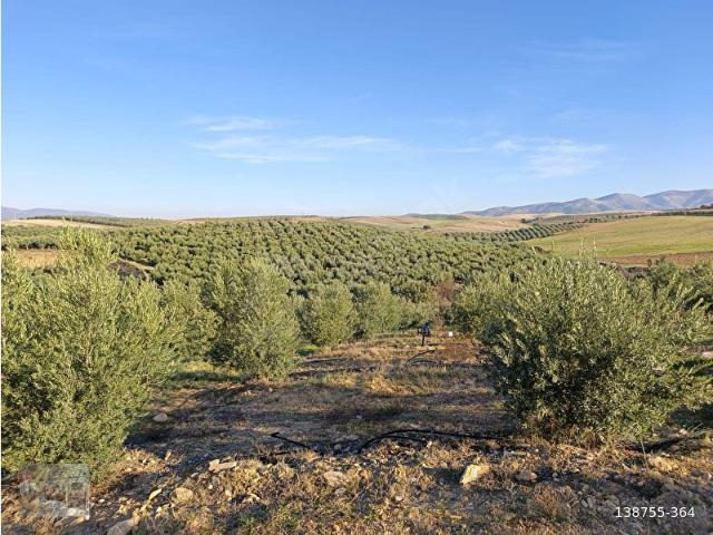 Salihli, Manisa içerisinde satılık mülk
