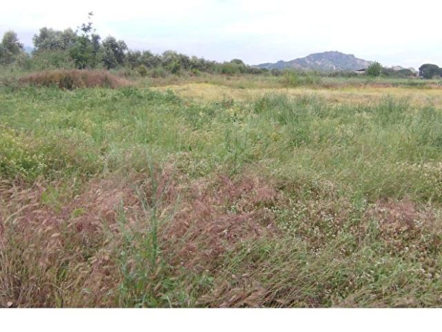 Salihli, Manisa içerisinde satılık Arsa