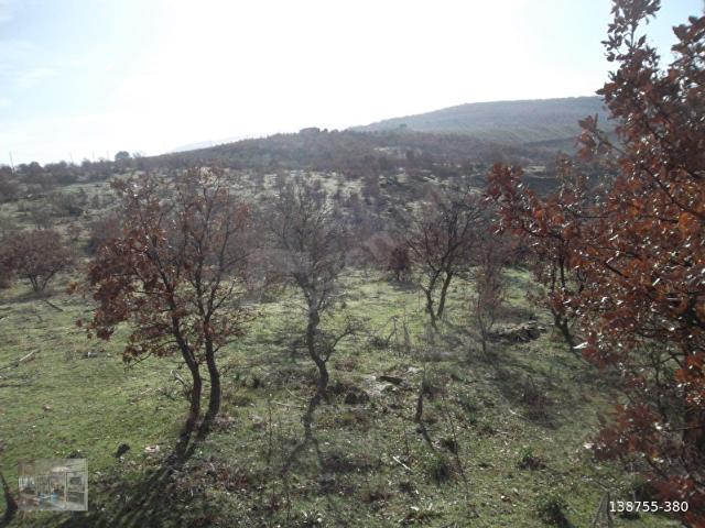 Hacıhıdır, Salihli içerisinde satılık Arsa