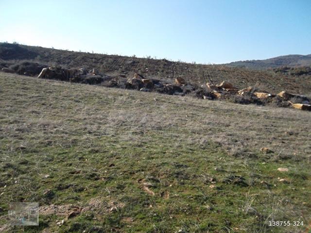 Hacıhıdır, Salihli içerisinde satılık Arsa