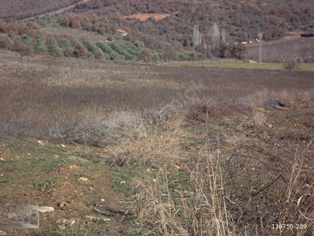 Salihli, Manisa içerisinde satılık Arsa