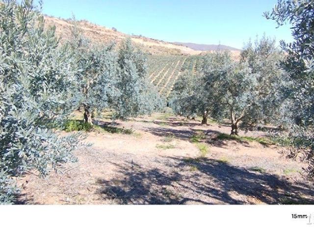 Salihli, Manisa içerisinde satılık mülk