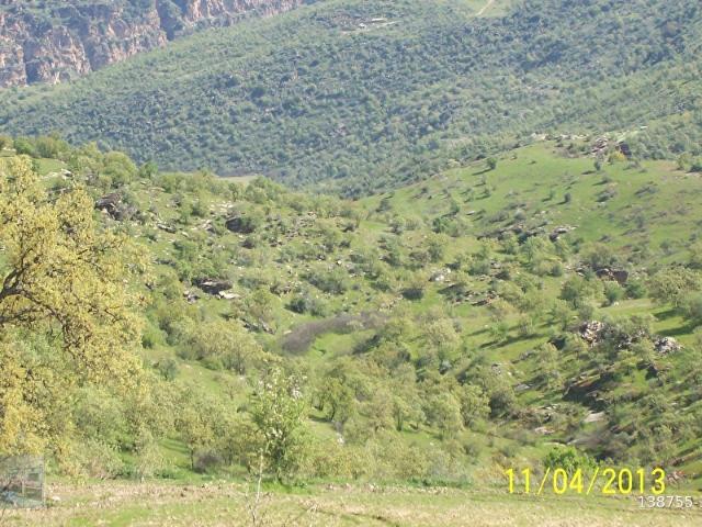 Mamatlı, Salihli içerisinde satılık Arsa