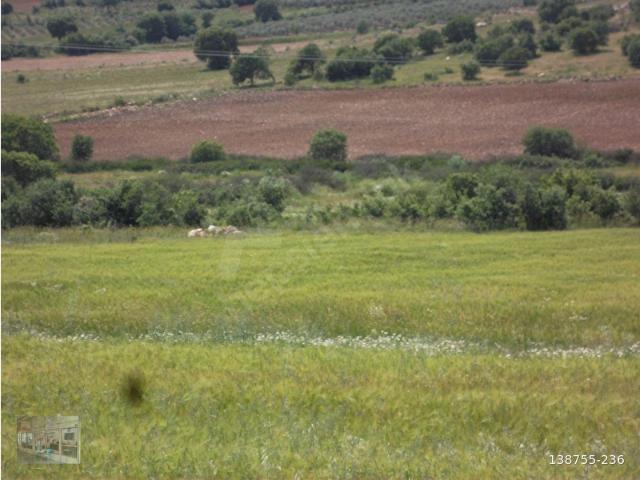 Salihli, Manisa içerisinde satılık Arsa