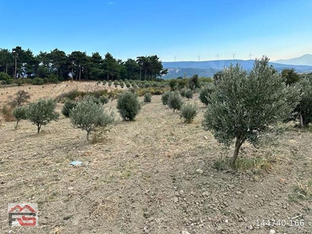 Soma, Manisa içerisinde satılık mülk