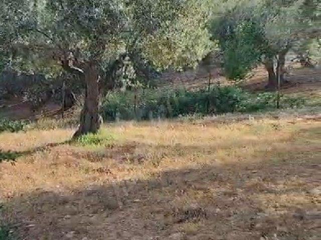 Darkale, Soma içerisinde satılık mülk