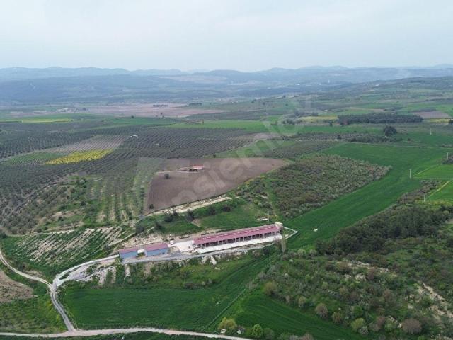 Avdan, Soma içerisinde satılık Arsa