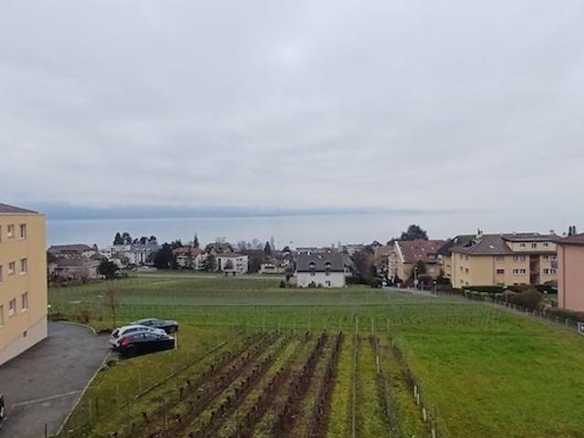 Wohnung kaufen in Pully, Waadt