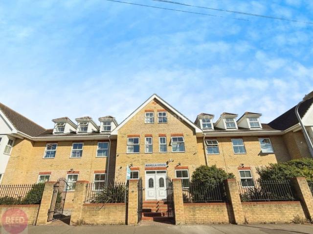 Room for rent in Kursaal Estate, Alton Barnes