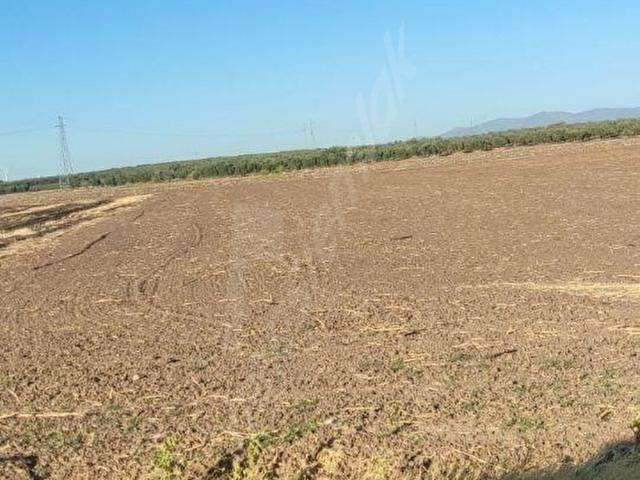 Saruhanlı, Saruhanli içerisinde satılık Arsa