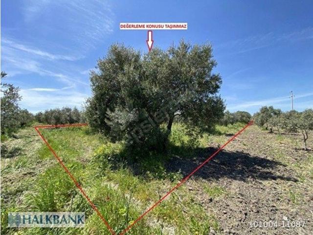 Akhisar, Manisa içerisinde satılık Arsa