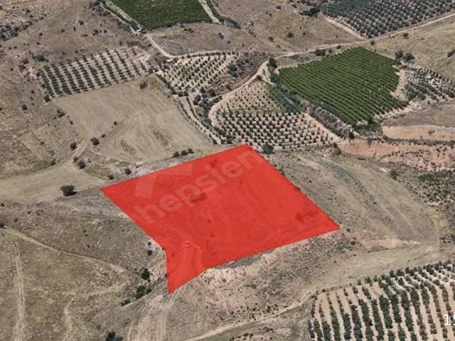 Alaşehir, Manisa içerisinde satılık Arsa