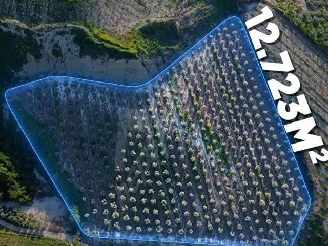 Alaşehir, Manisa içerisinde satılık mülk