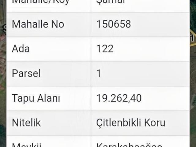 Şamar, Yunusemre içerisinde satılık mülk