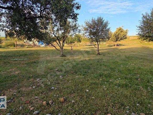 Manisa içerisinde satılık Arsa