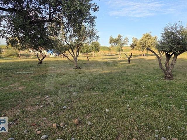 Manisa içerisinde satılık Arsa