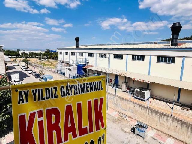 Manisa içerisinde kiralık mülk