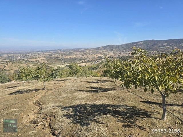 Kula, Manisa içerisinde satılık Arsa