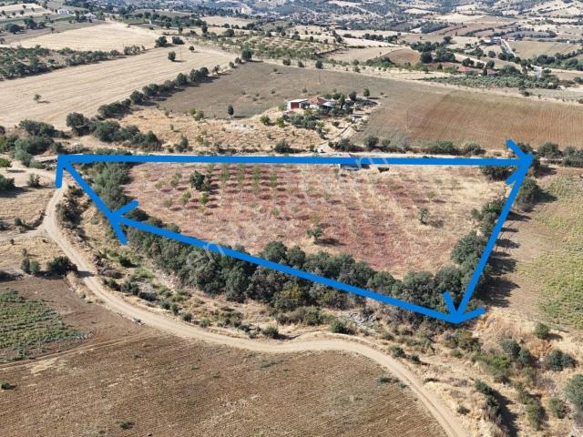 Kula, Manisa içerisinde satılık Fabrika