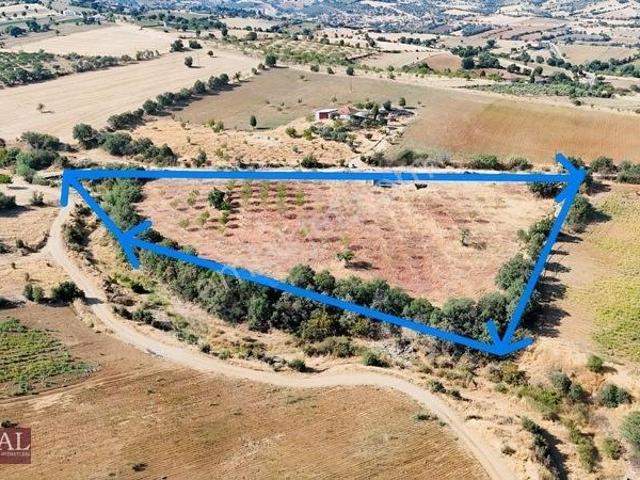 Kula, Manisa içerisinde satılık Fabrika