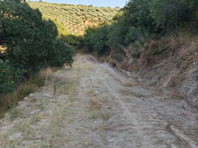 Kale, Salihli içerisinde satılık Arsa