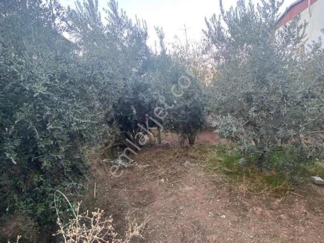 Ahmetli, Manisa içerisinde satılık Villa