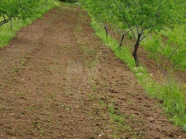 Selendi, Manisa içerisinde satılık Arsa
