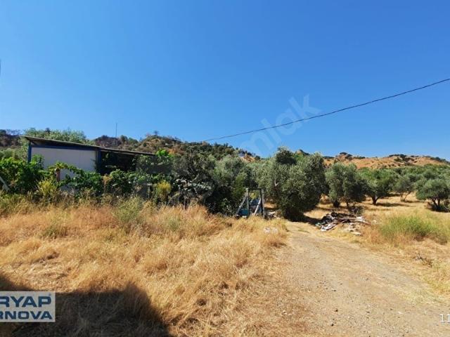 Turgutlu, Manisa içerisinde satılık Dükkan