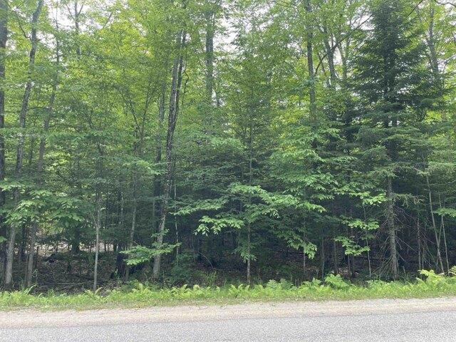Land for sale in Manistique, Michigan
