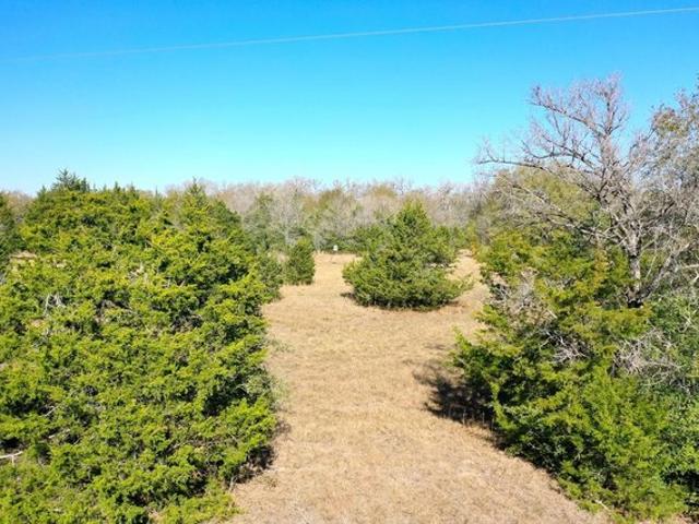 Land for sale in Madisonville, Texas
