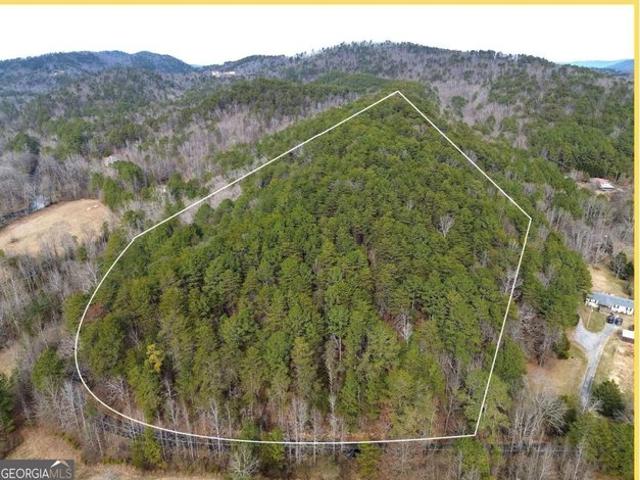 Land for sale in Summerville, Georgia
