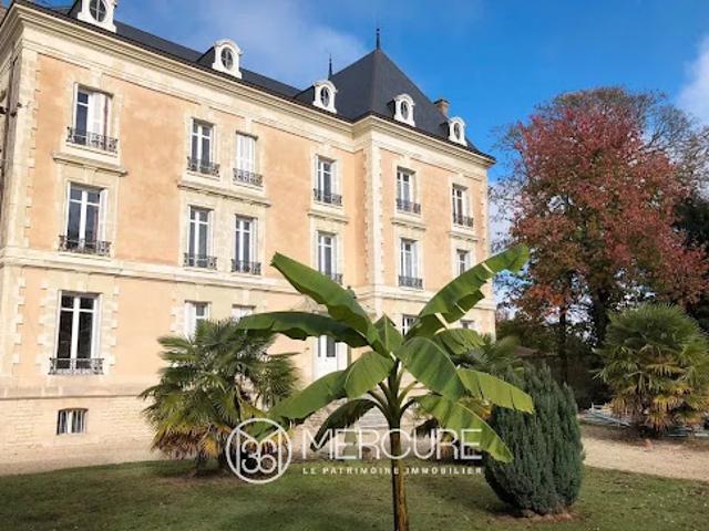 Château vente à Chinon