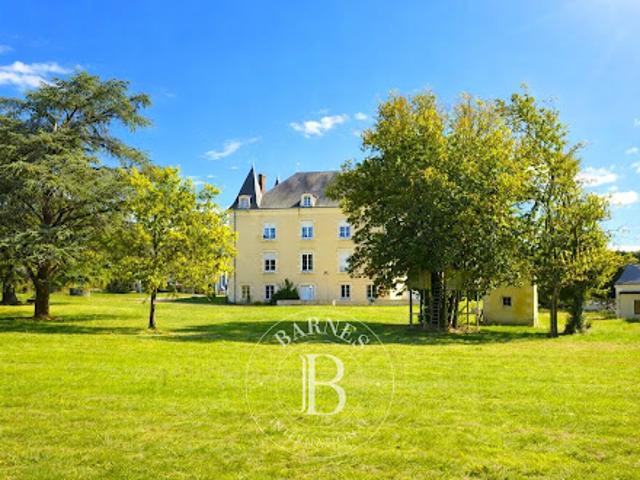 Château vente à Montmorillon, La Trimouille