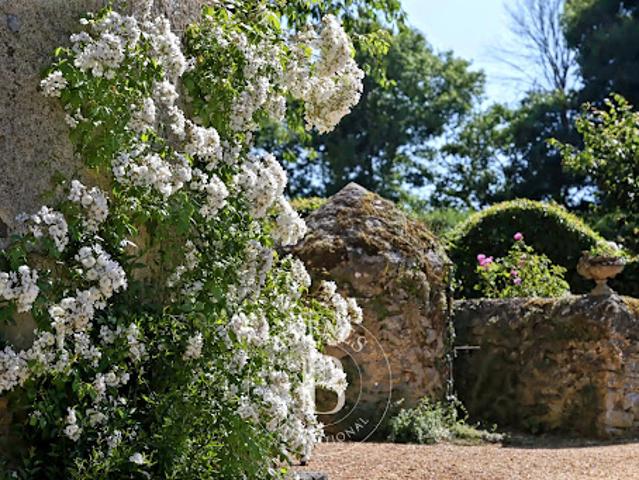 Château vente à Château-Gontier, Château-gontier