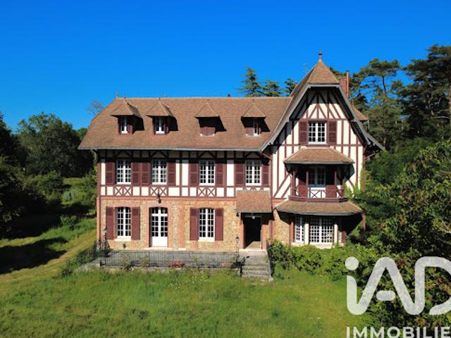 Château vente à Romorantin-Lanthenay, Mennetou-sur-cher